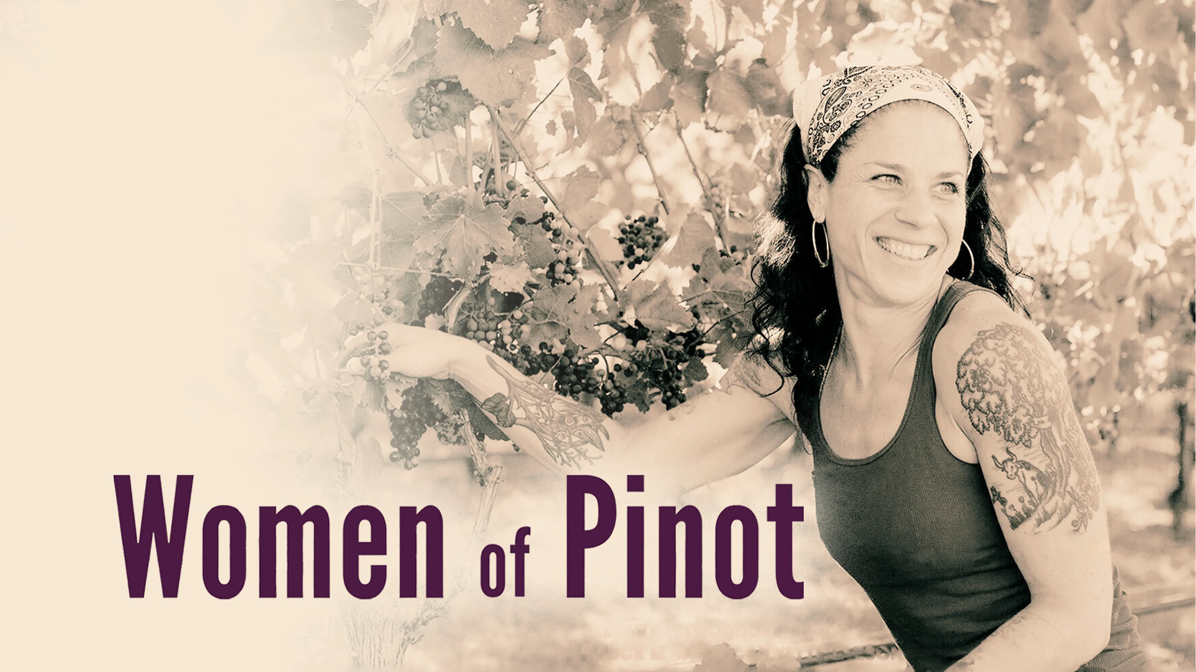 Women of Pinot poster
